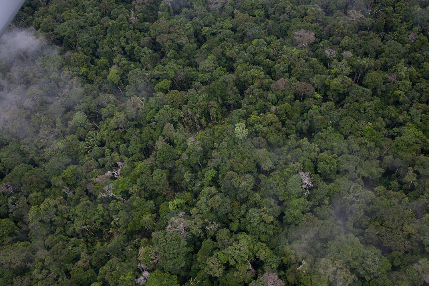 15AMAZONAS slider 2_MG_9839.jpg